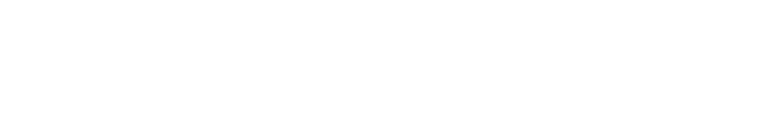 Pluggie logo